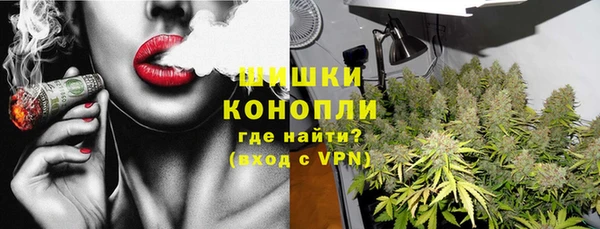 стафф Аркадак