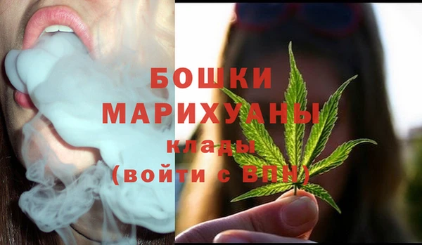 стафф Аркадак